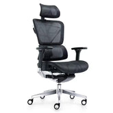 NOBEL Modern Ergonomic Comfortable Durable High End Lumbar Support Office Mesh Chair